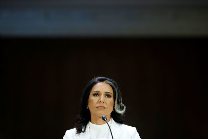 Tulsi Gabbard, U.S. President Donald Trump’s nominee to be Director of National Intelligence, testifies during her confirmation hearing before the Senate Intelligence Committee in the Dirksen Senate Office Building on January 30, 2025 in Washington, DC. Gabbard, a former Congresswoman from Hawaii who previously ran for president as a Democrat before joining the Republican Party and supporting President Trump, is facing criticism from Senators over her lack of intelligence experience and her opinions on domestic surveillance powers.