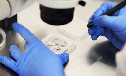 3 simple principles for Christians who want IVF treatment